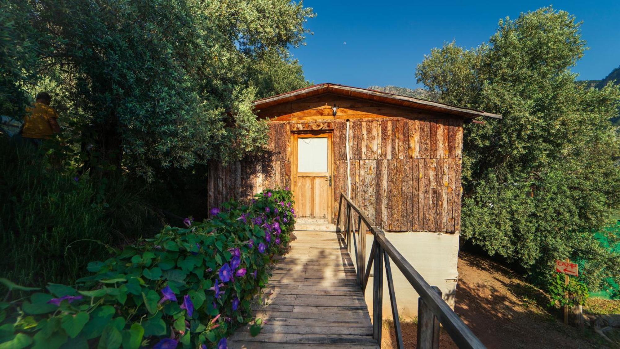 Shiva Camp Hotel Фаралия Екстериор снимка