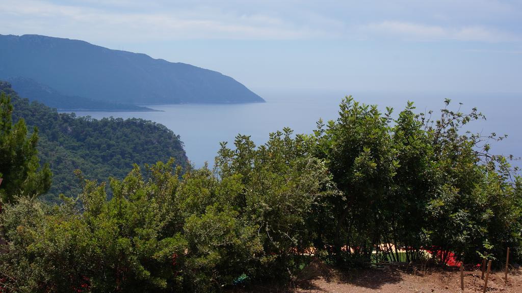 Shiva Camp Hotel Фаралия Екстериор снимка